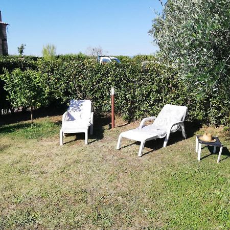 L'Aia Degli Olivi Apartment Vada Bagian luar foto