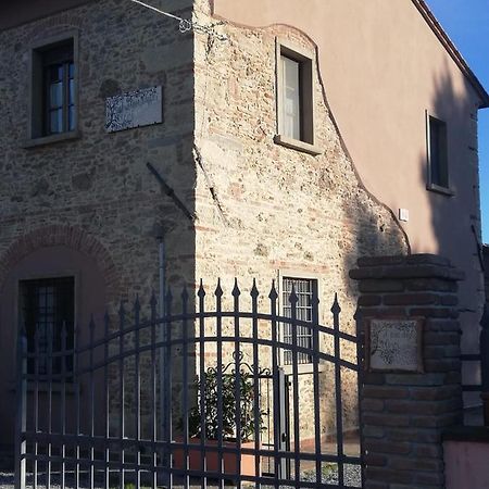 L'Aia Degli Olivi Apartment Vada Bagian luar foto