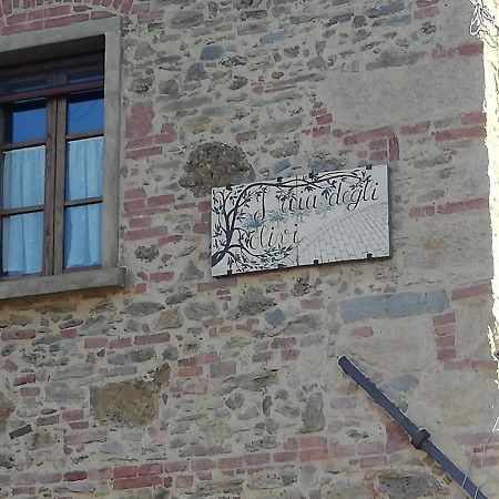 L'Aia Degli Olivi Apartment Vada Bagian luar foto