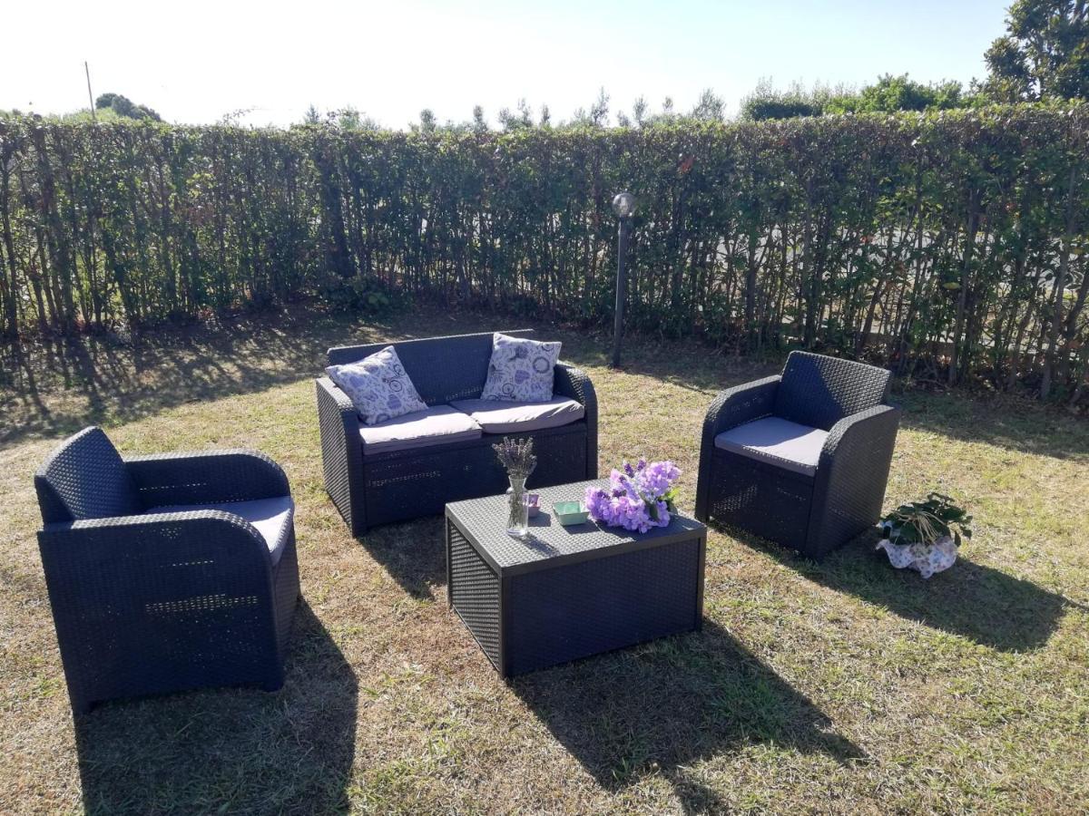 L'Aia Degli Olivi Apartment Vada Bagian luar foto