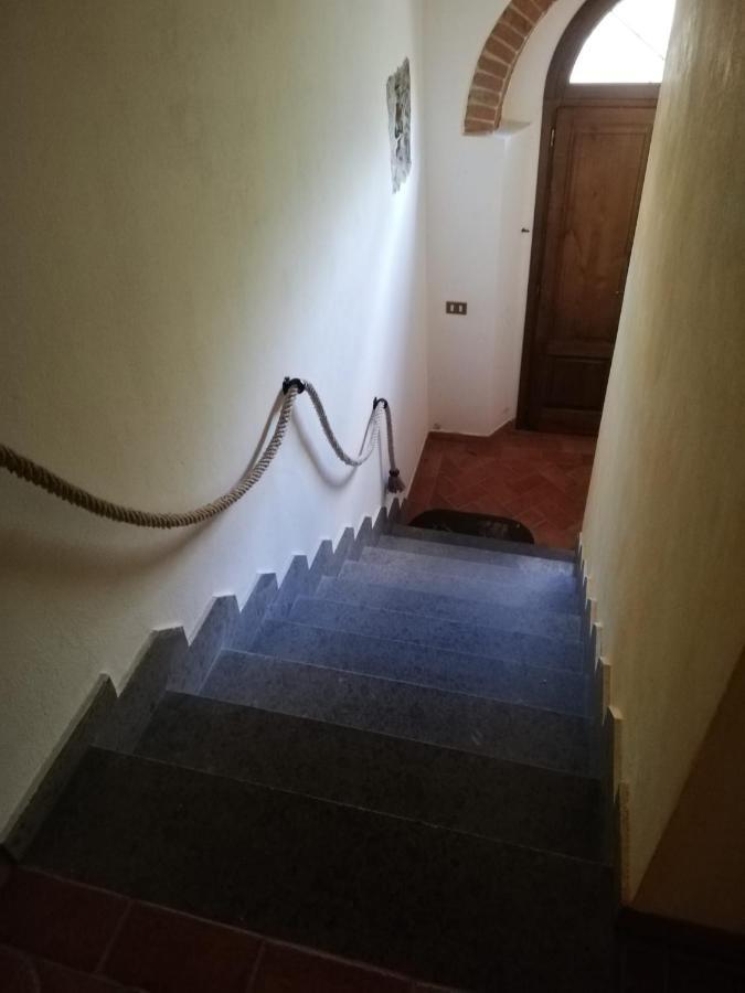 L'Aia Degli Olivi Apartment Vada Bagian luar foto