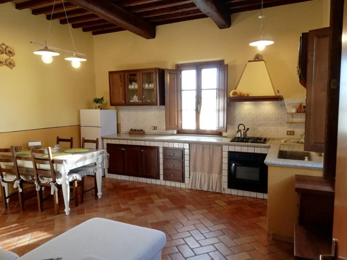 L'Aia Degli Olivi Apartment Vada Bagian luar foto
