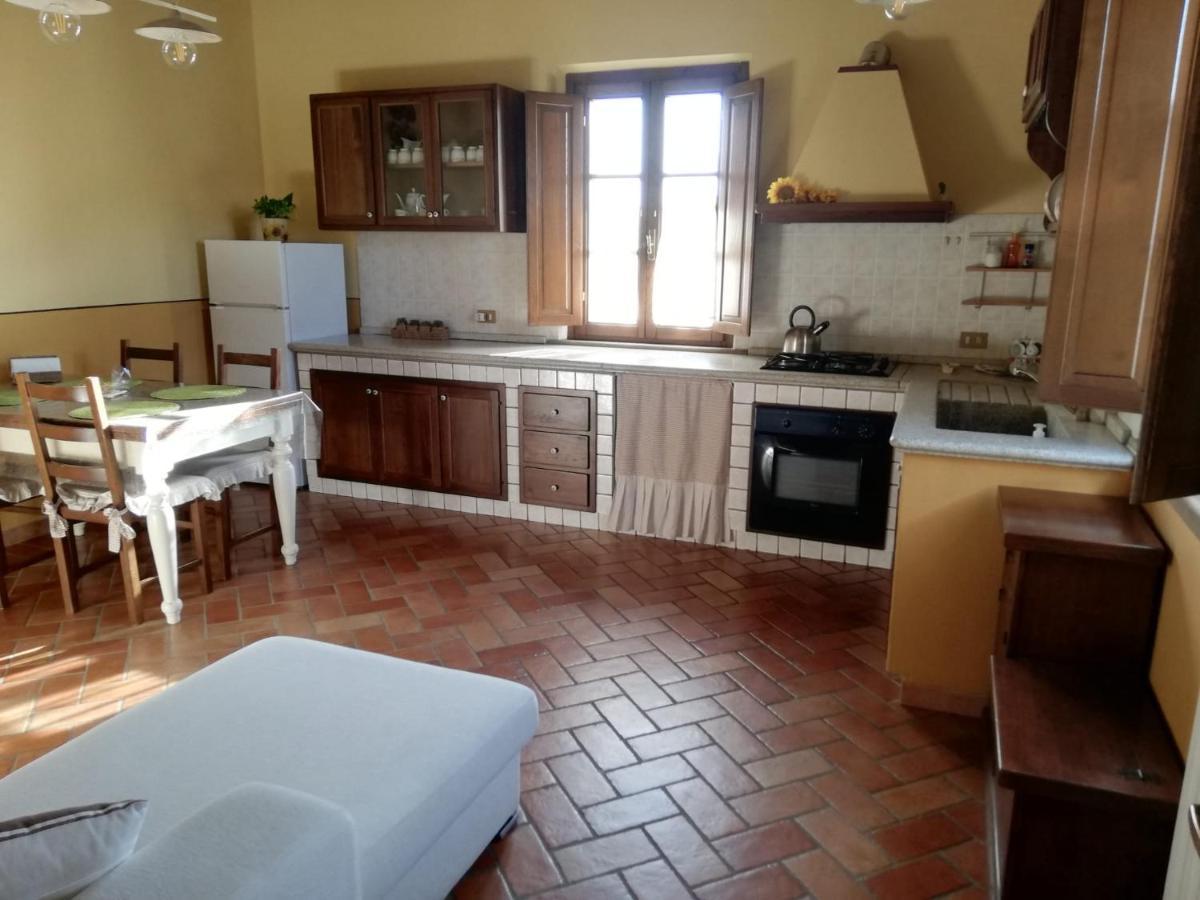 L'Aia Degli Olivi Apartment Vada Bagian luar foto