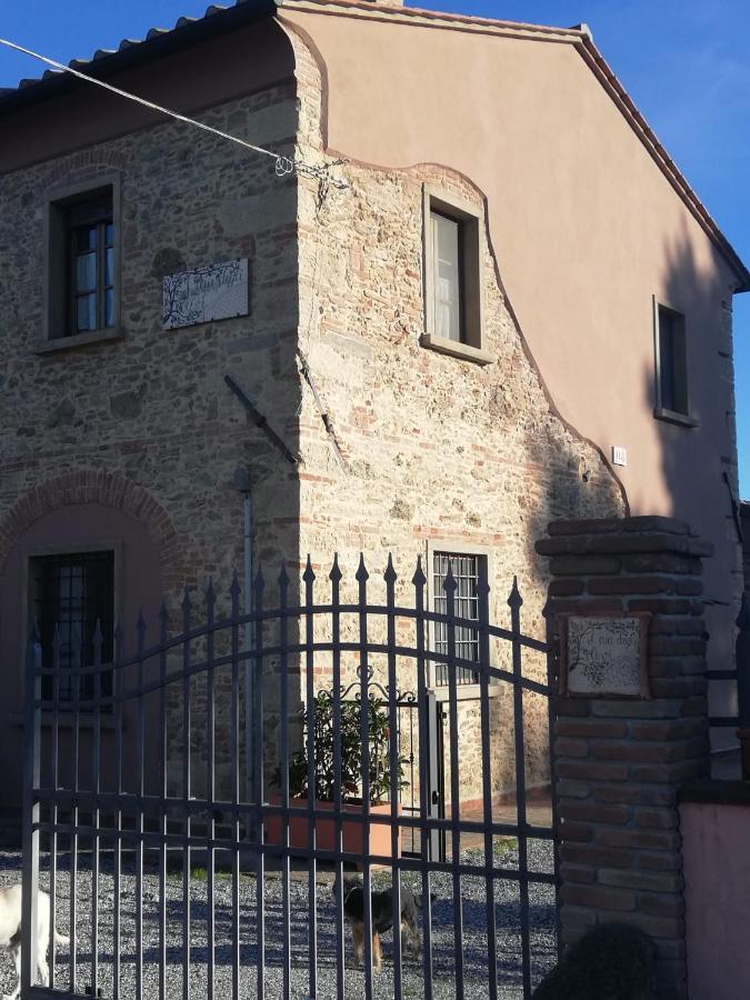 L'Aia Degli Olivi Apartment Vada Bagian luar foto
