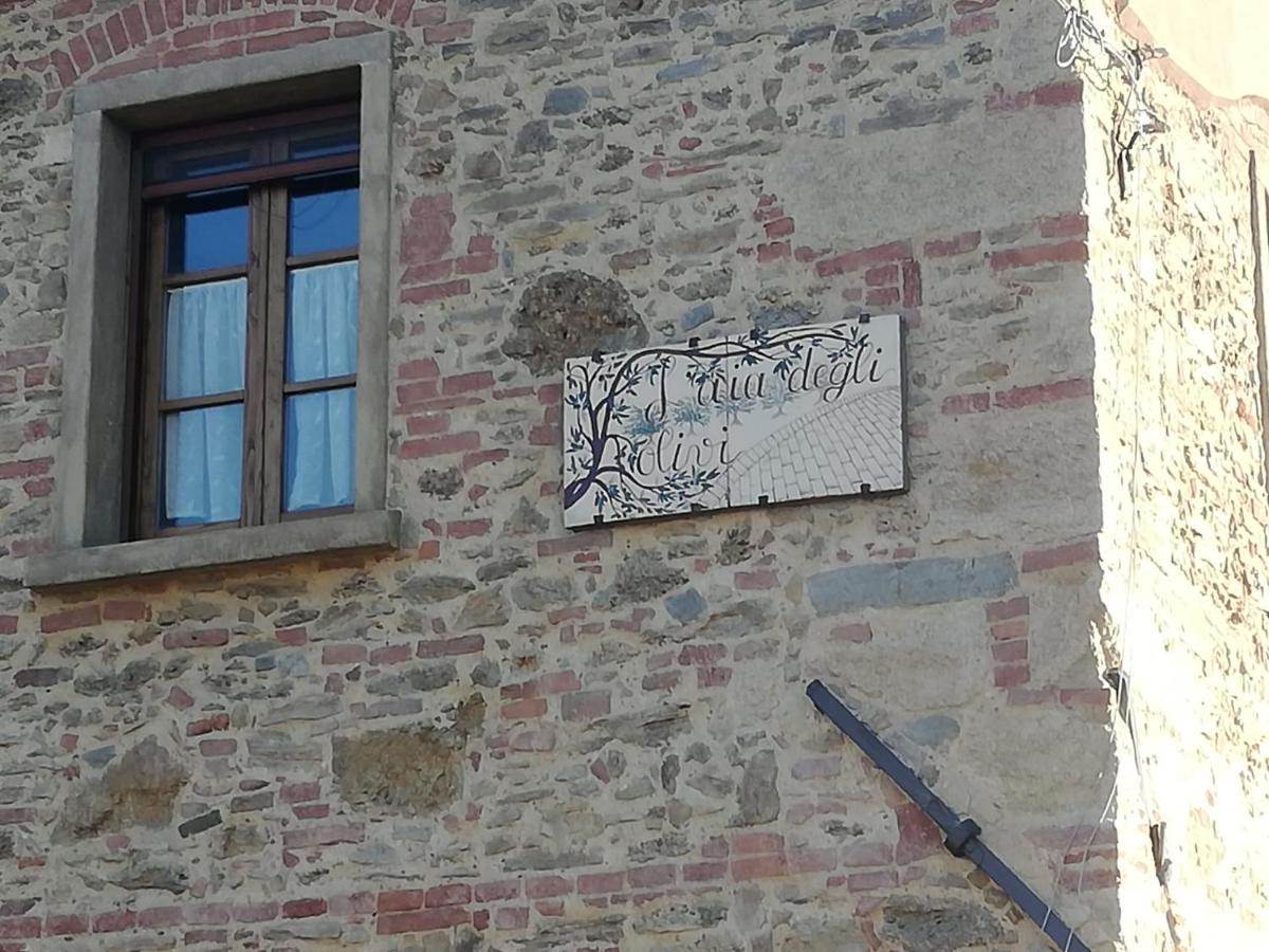L'Aia Degli Olivi Apartment Vada Bagian luar foto